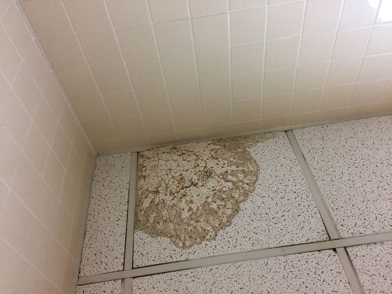A brown water stain and damaged ceiling tile from an unresolved leak